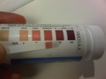 dia ketosis sample