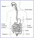 crohns
