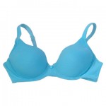 bra This is a random picture of a "bra" from the internet.... NOT "THE BRA". :)