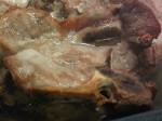 IMG00252-20110315-1846