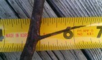 A thorn over 1 1/4 inches