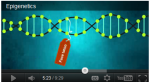 epigenetics