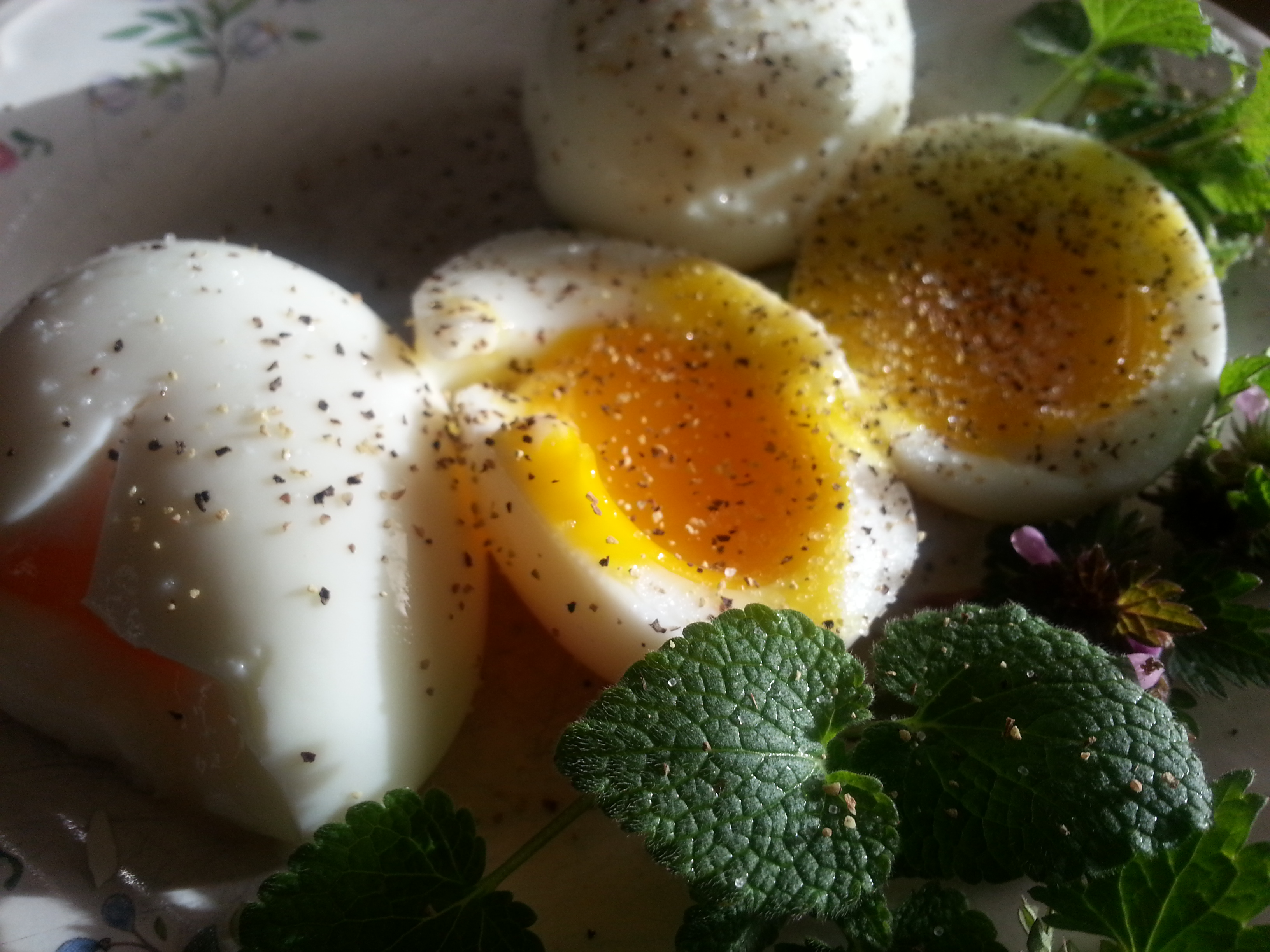 Four Minute Eggs are Diabetic Friendly