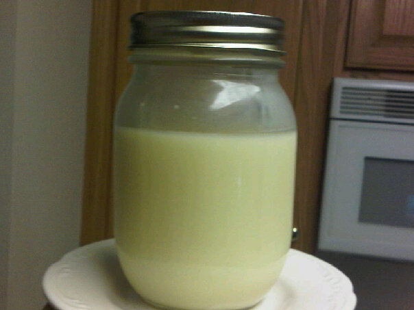 Steve's Coconut Ghee