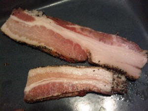 Low Carb, Paleo Bacon Bites