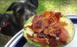 Arya and avocado stuffed with bacon is diabetes friendly