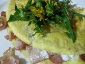 omelettes are diabtes friendly